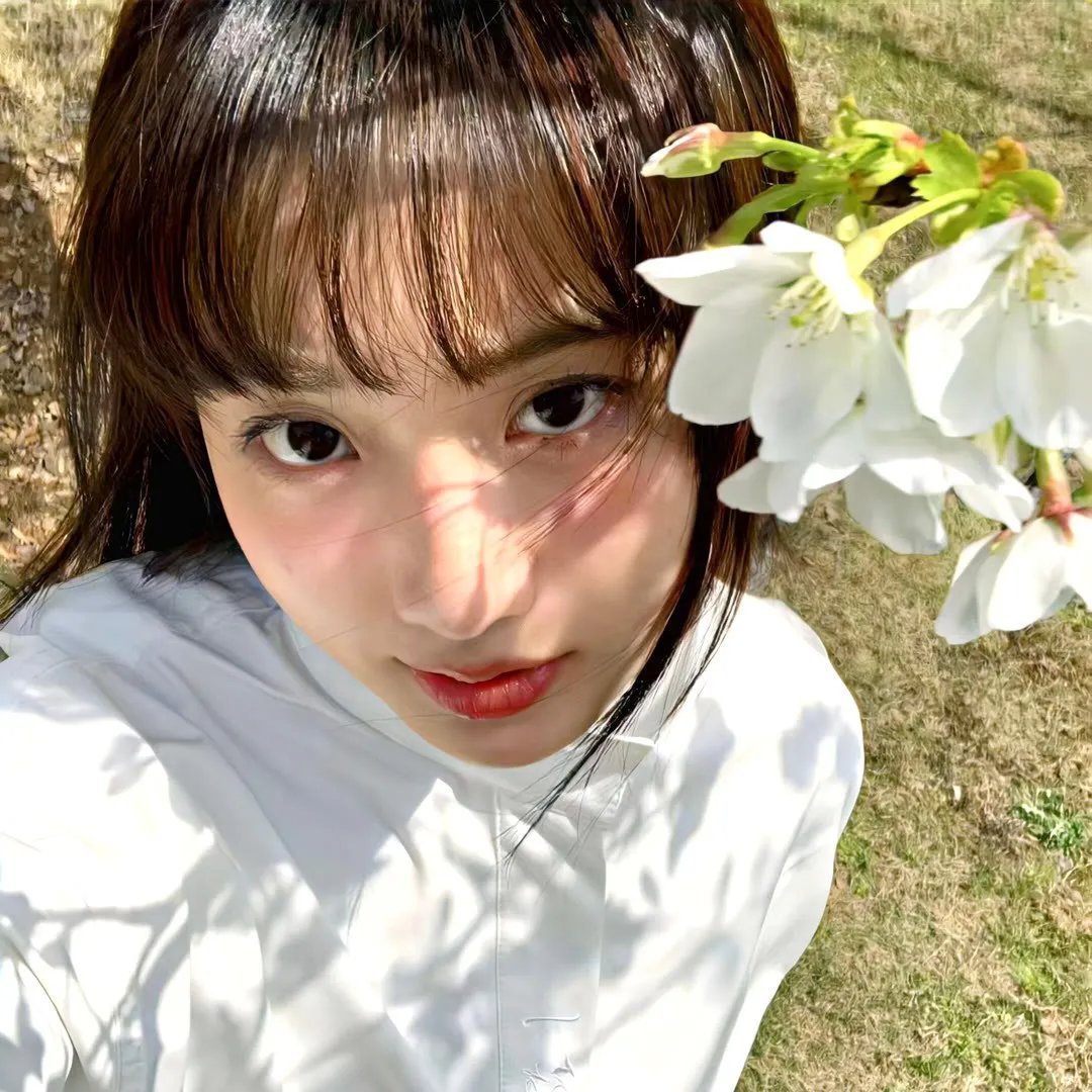 飞鹰艾迪